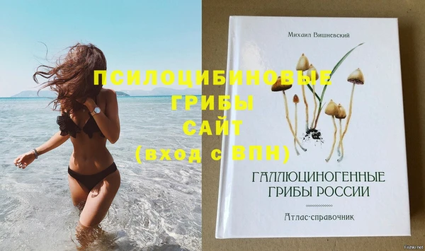 амфетамин Нея